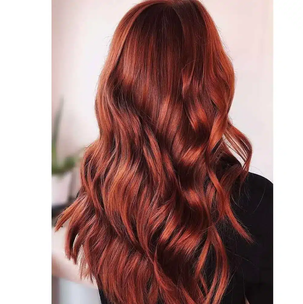 Henna Radhe Castaño Caoba Polvo - Imagen 2