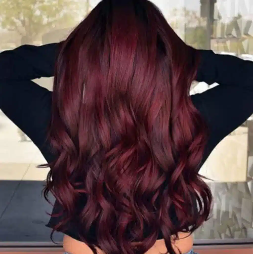 Henna Radhe Caoba Oscuro Polvo - Imagen 2